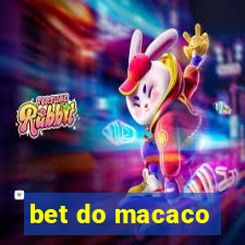 bet do macaco